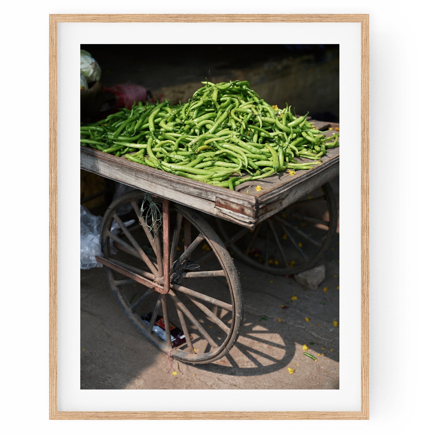 India - Green Chilli #40