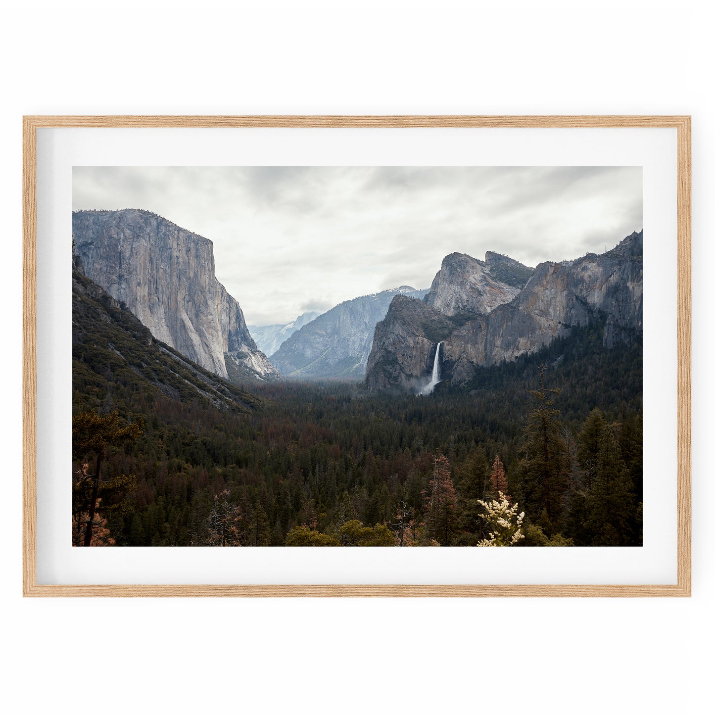 USA - Yosemite National Park #25