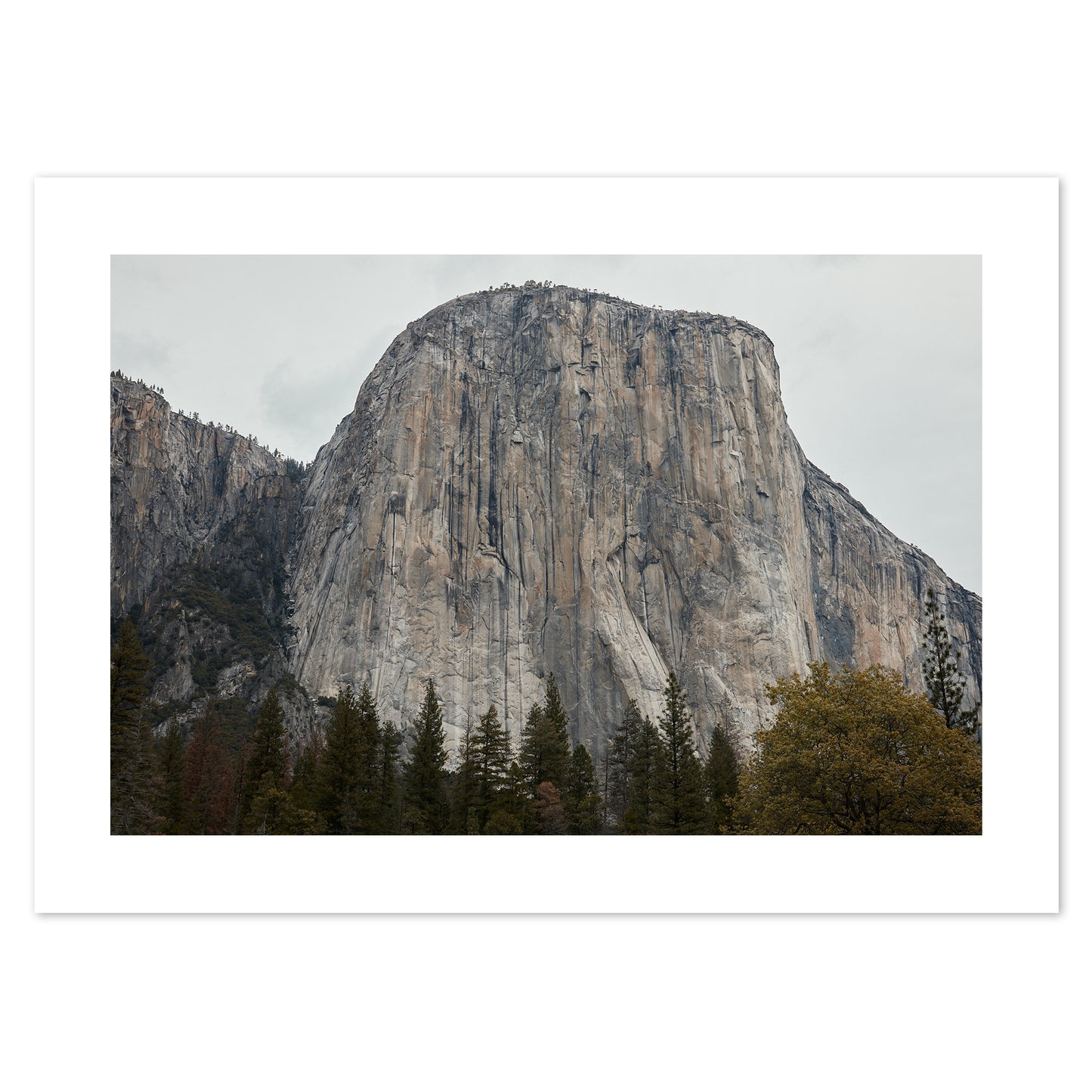 USA - Yosemite National Park #18