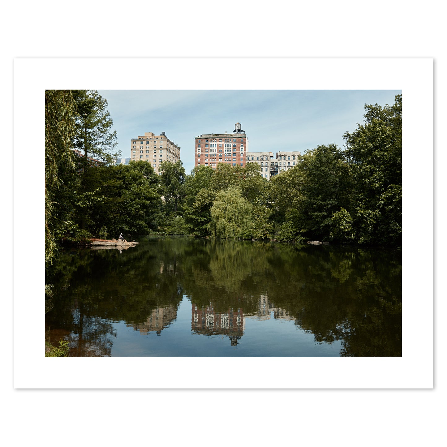 USA - Central Park #21