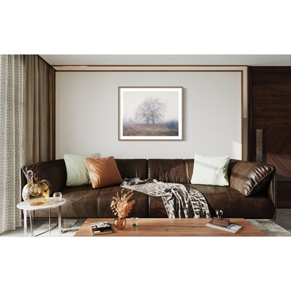 Australia - Alpine #04