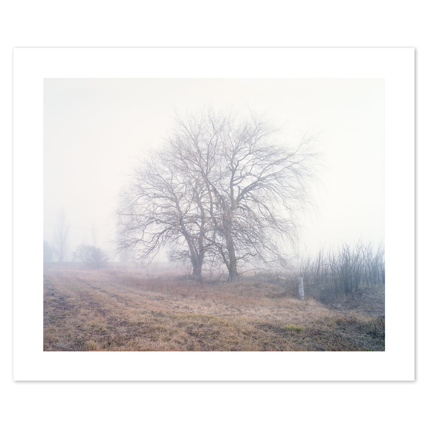 Australia - Alpine #04