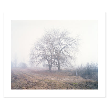 Australia - Alpine #04