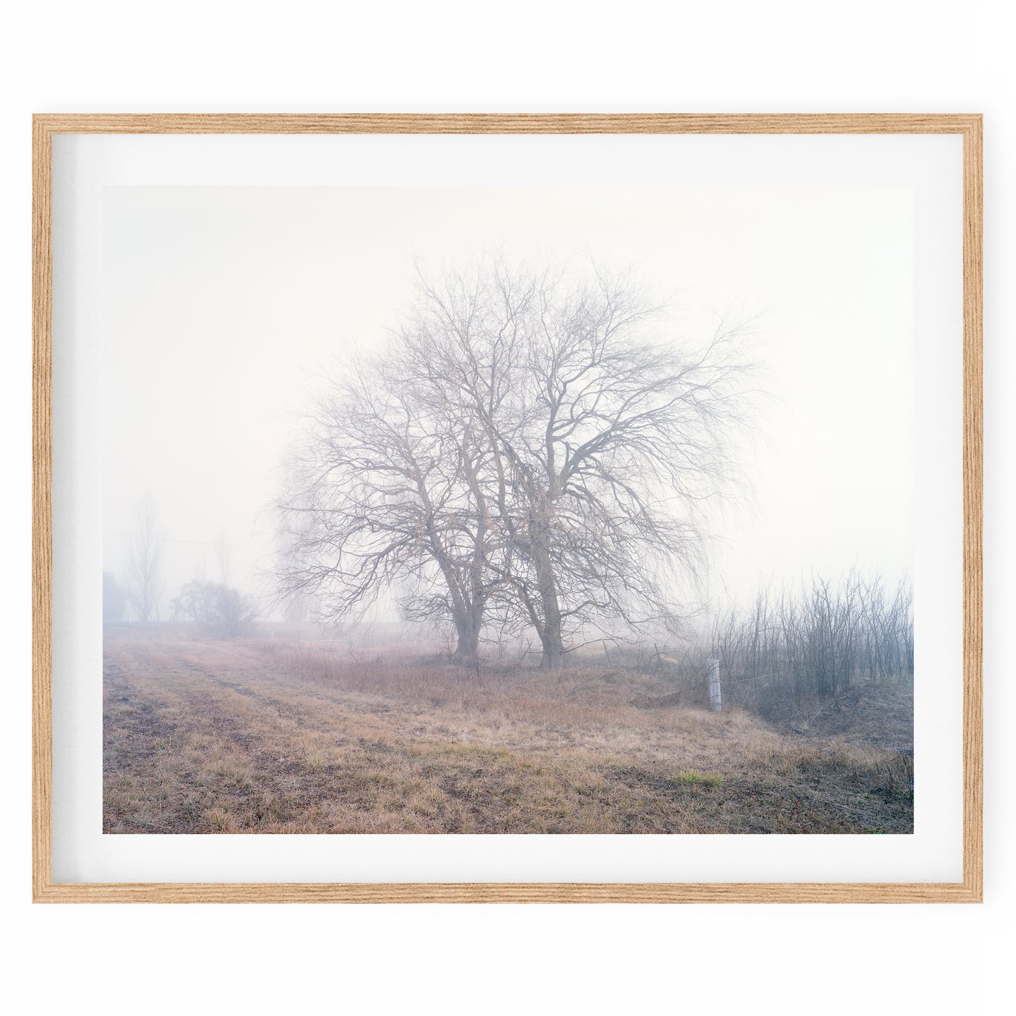 Australia - Alpine #04