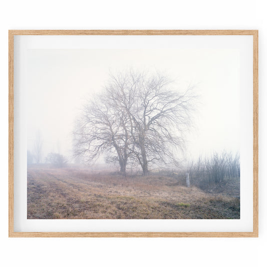 Australia - Alpine #04