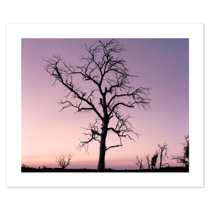 Australia - Alpine #30