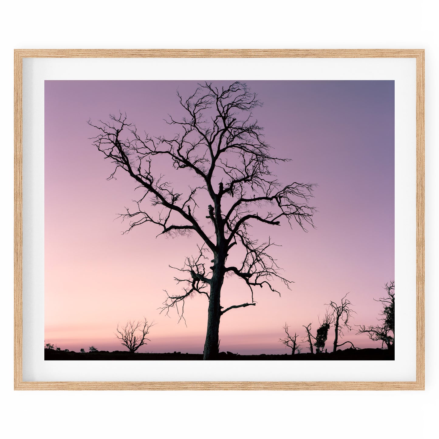 Australia - Alpine #30