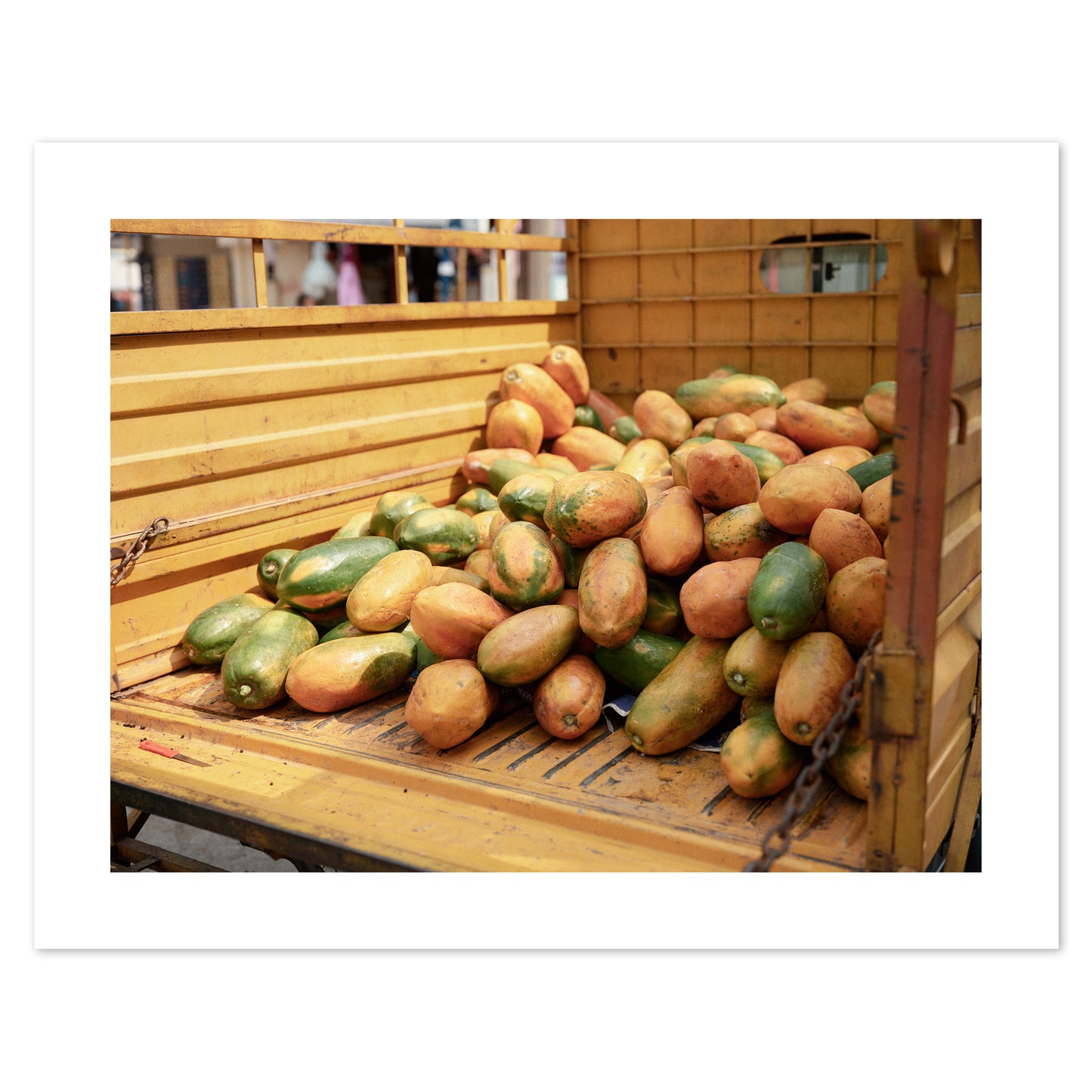 India - Yellow Papayas #32