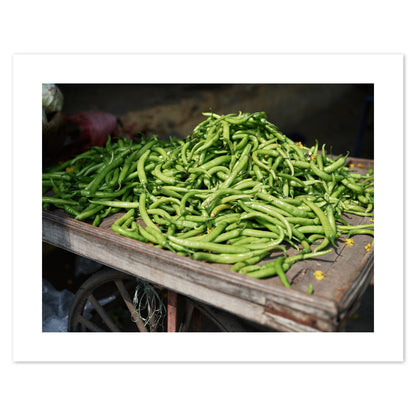 India - Green Chilli #35