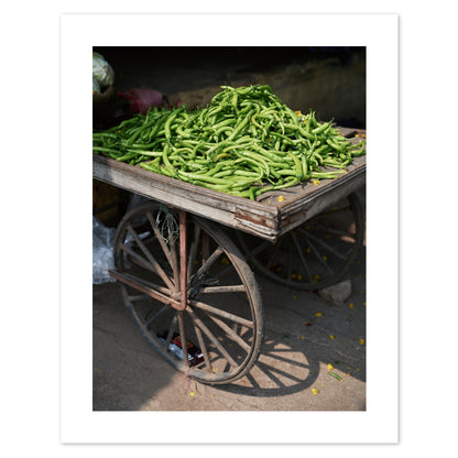 India - Green Chilli #40