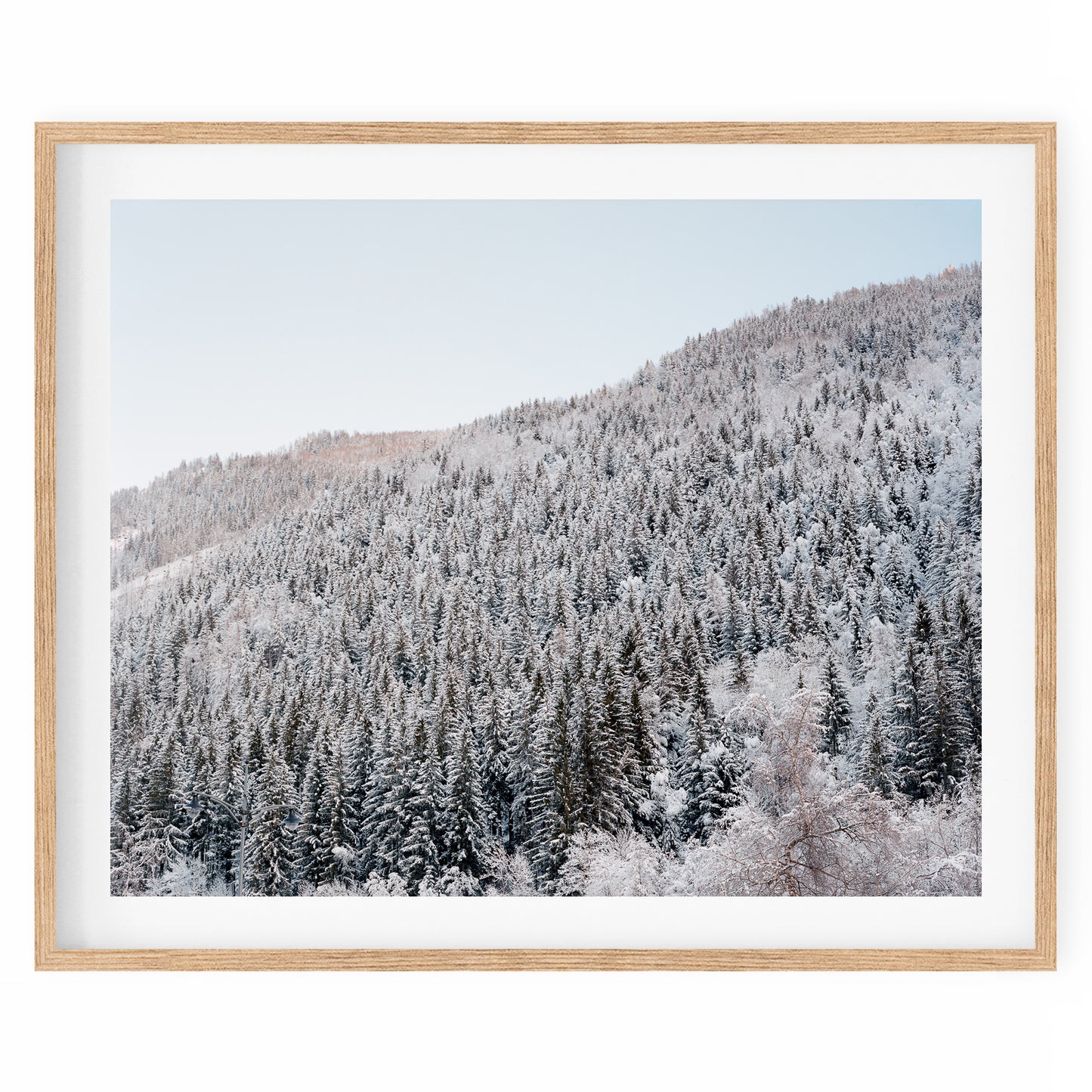 France - Chamonix #06