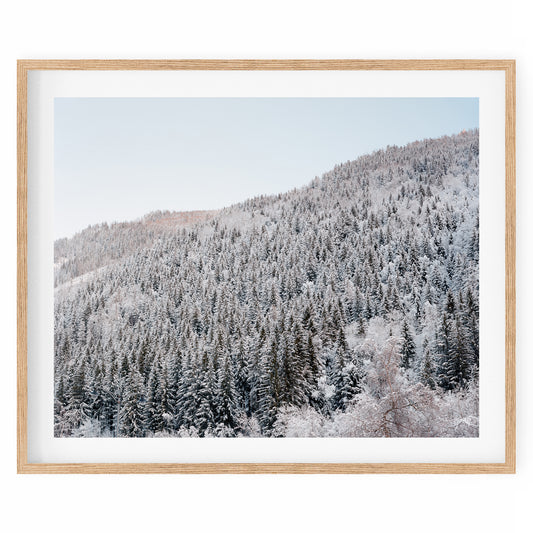 France - Chamonix #06