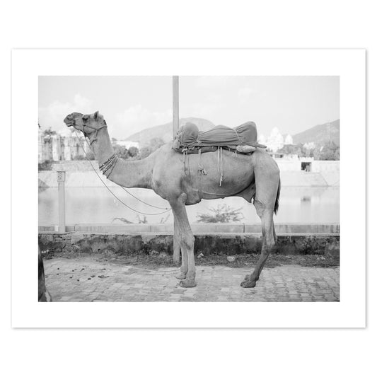 India #56 BW