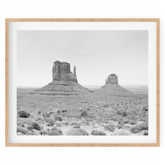 USA - Monument Valley #09 BW