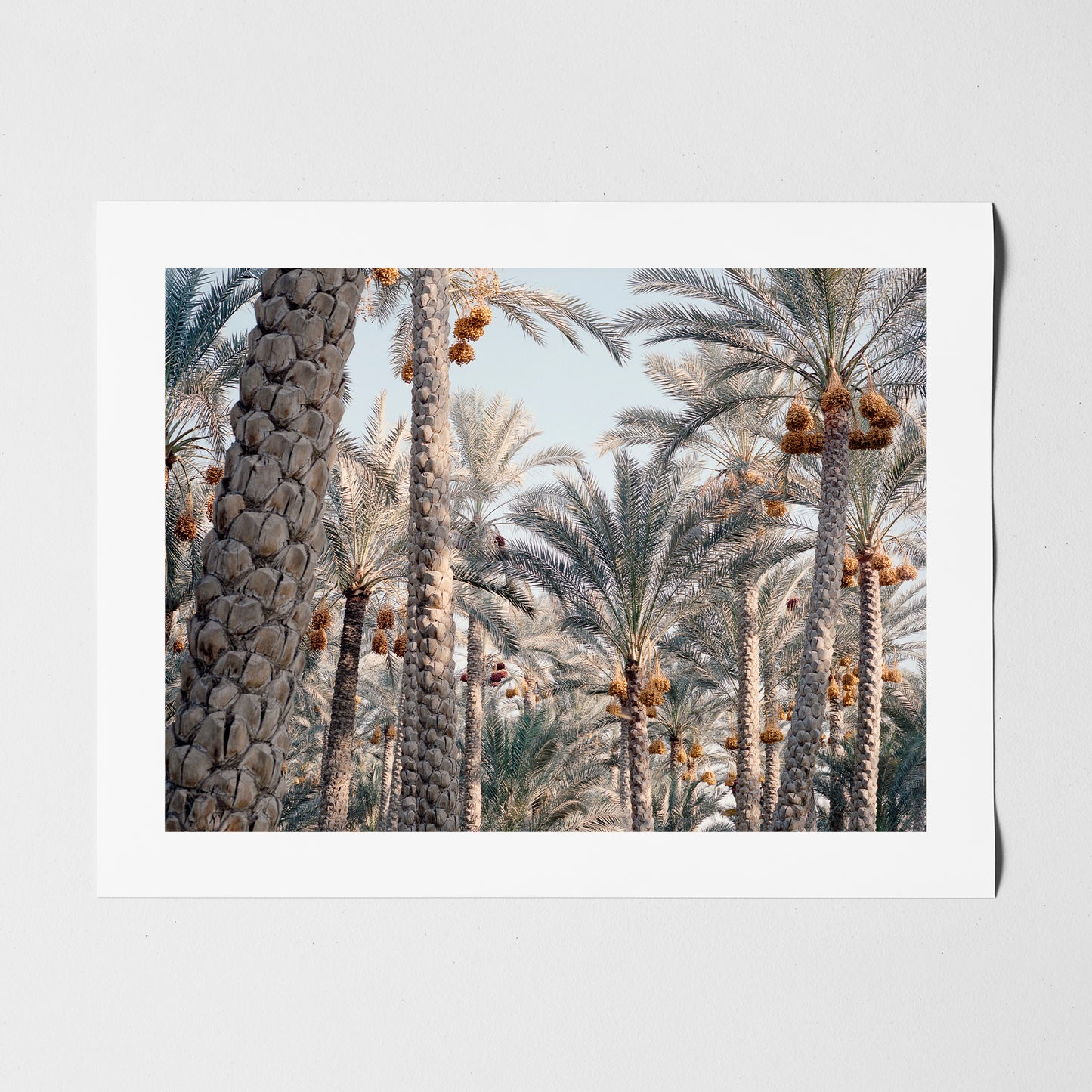 Egypt