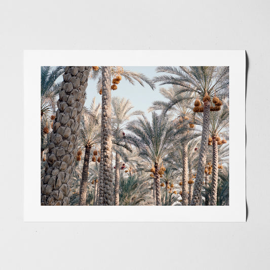 Egypt