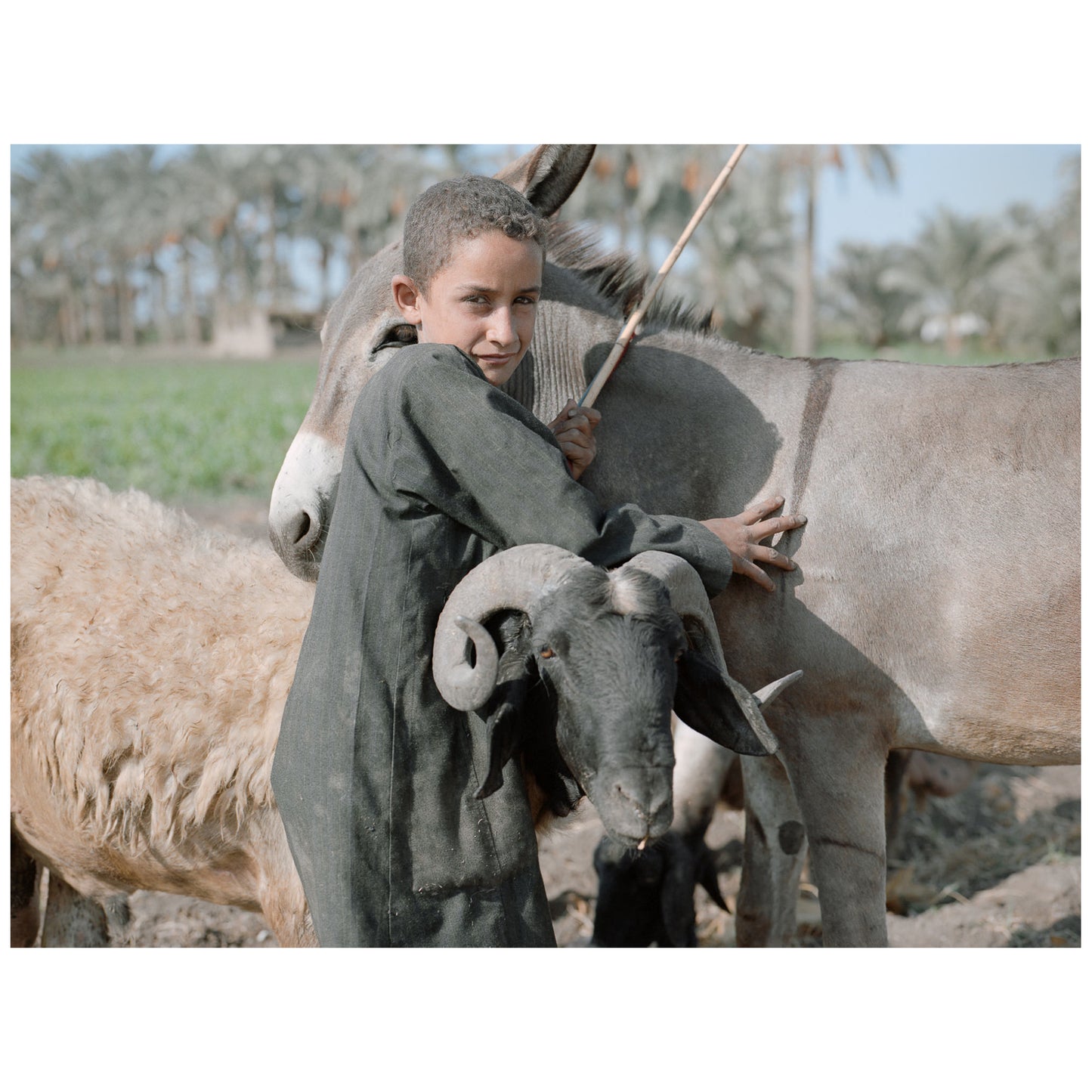 Egypt