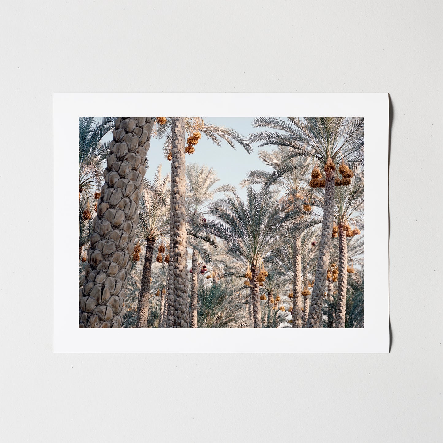 Egypt