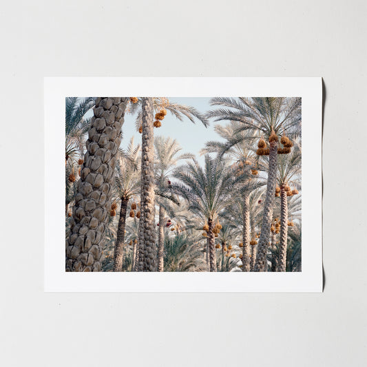 Egypt