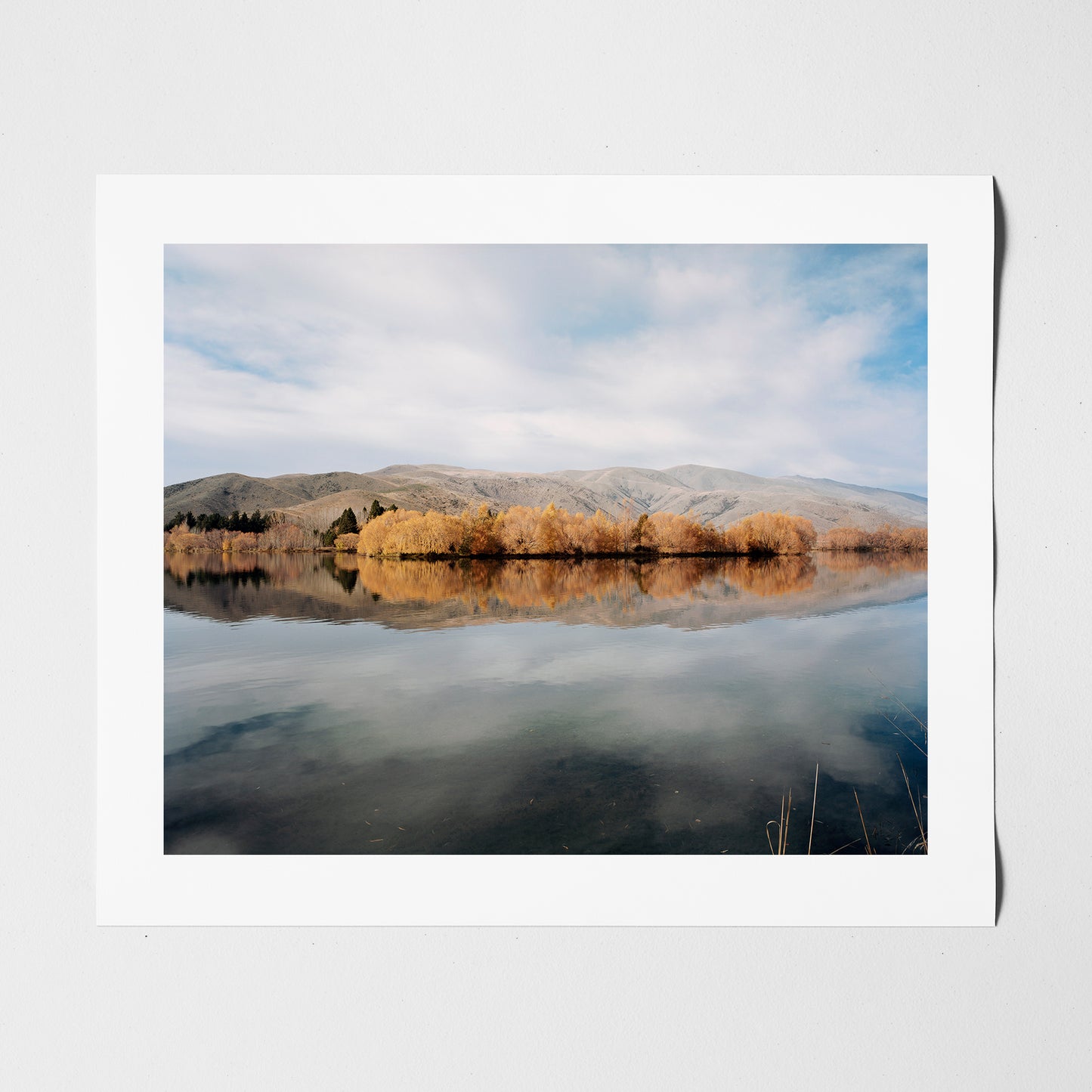 New Zealand
