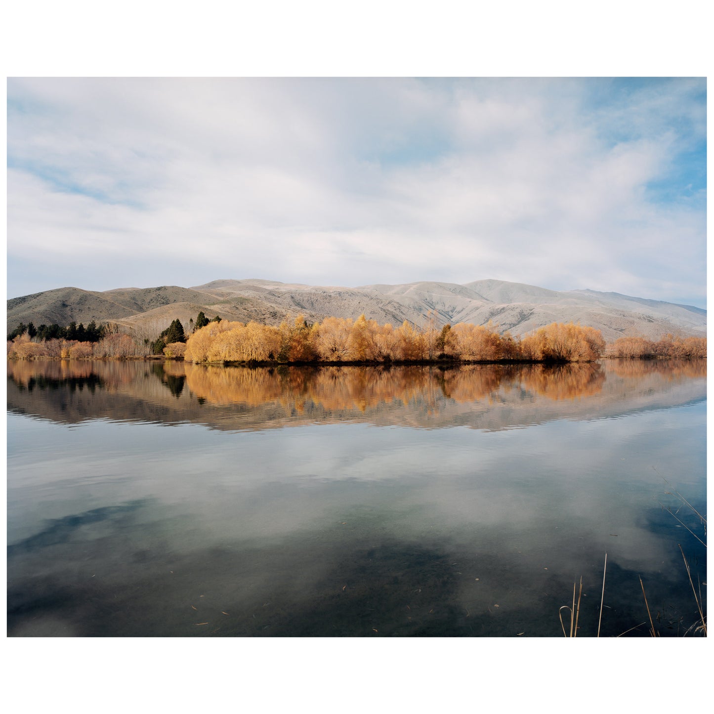 New Zealand