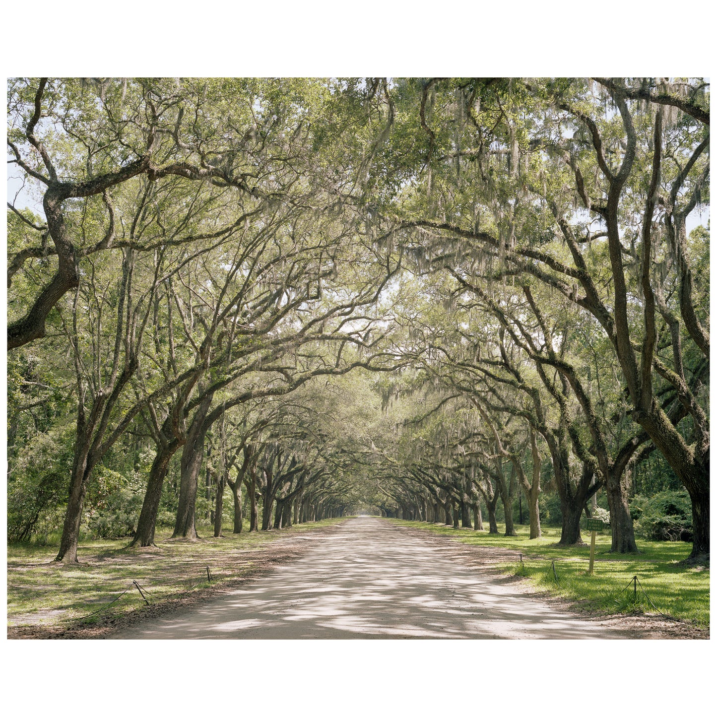 Louisiana, USA