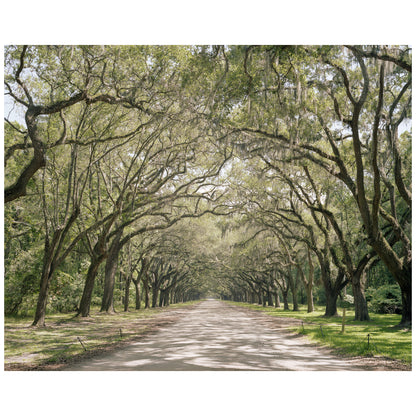 Louisiana, USA