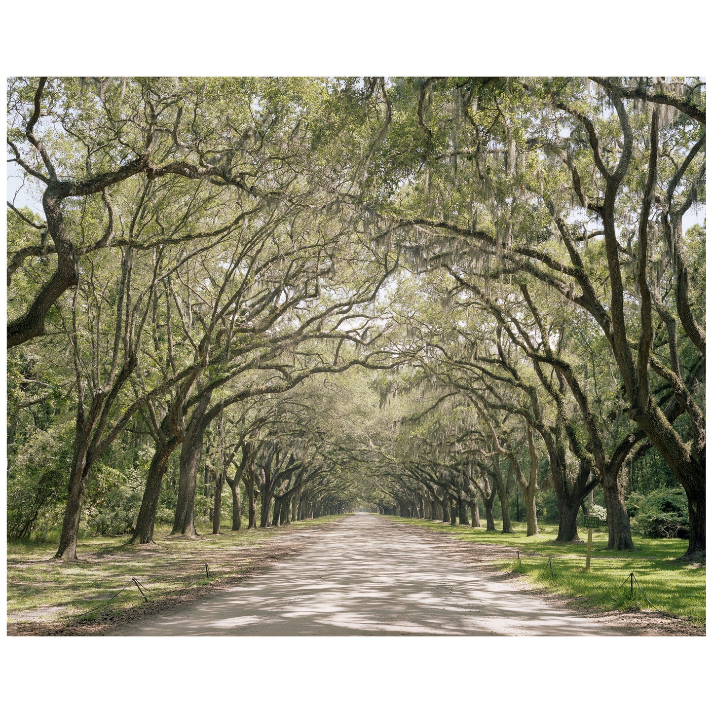 Louisiana, USA