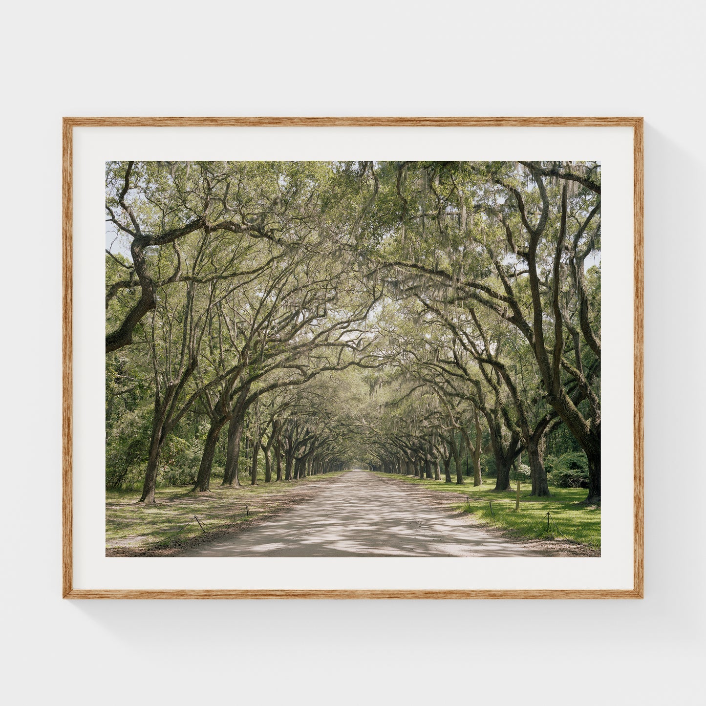 Louisiana, USA