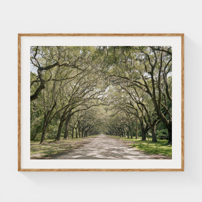 Louisiana, USA