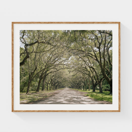Louisiana, USA