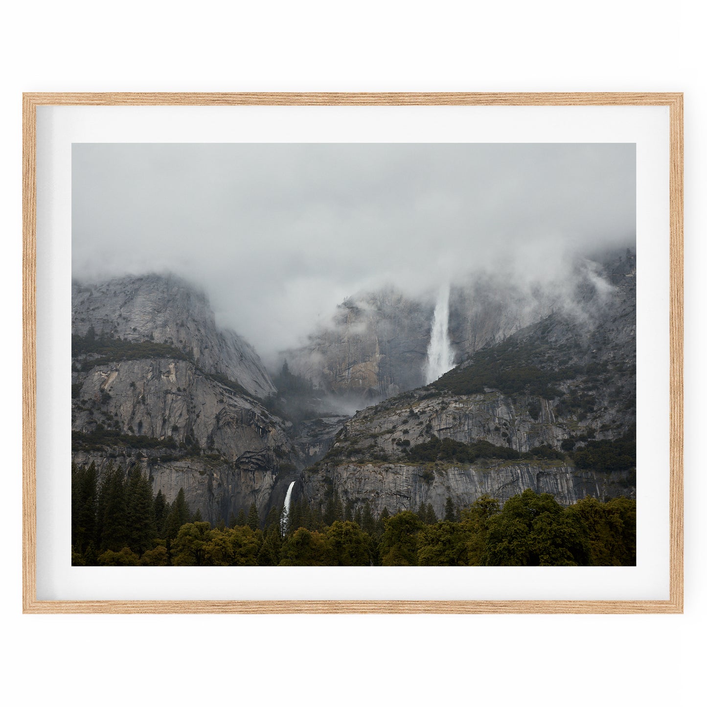 USA - Yosemite National Park #10