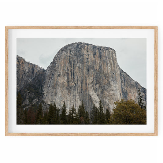 USA - Yosemite National Park #18