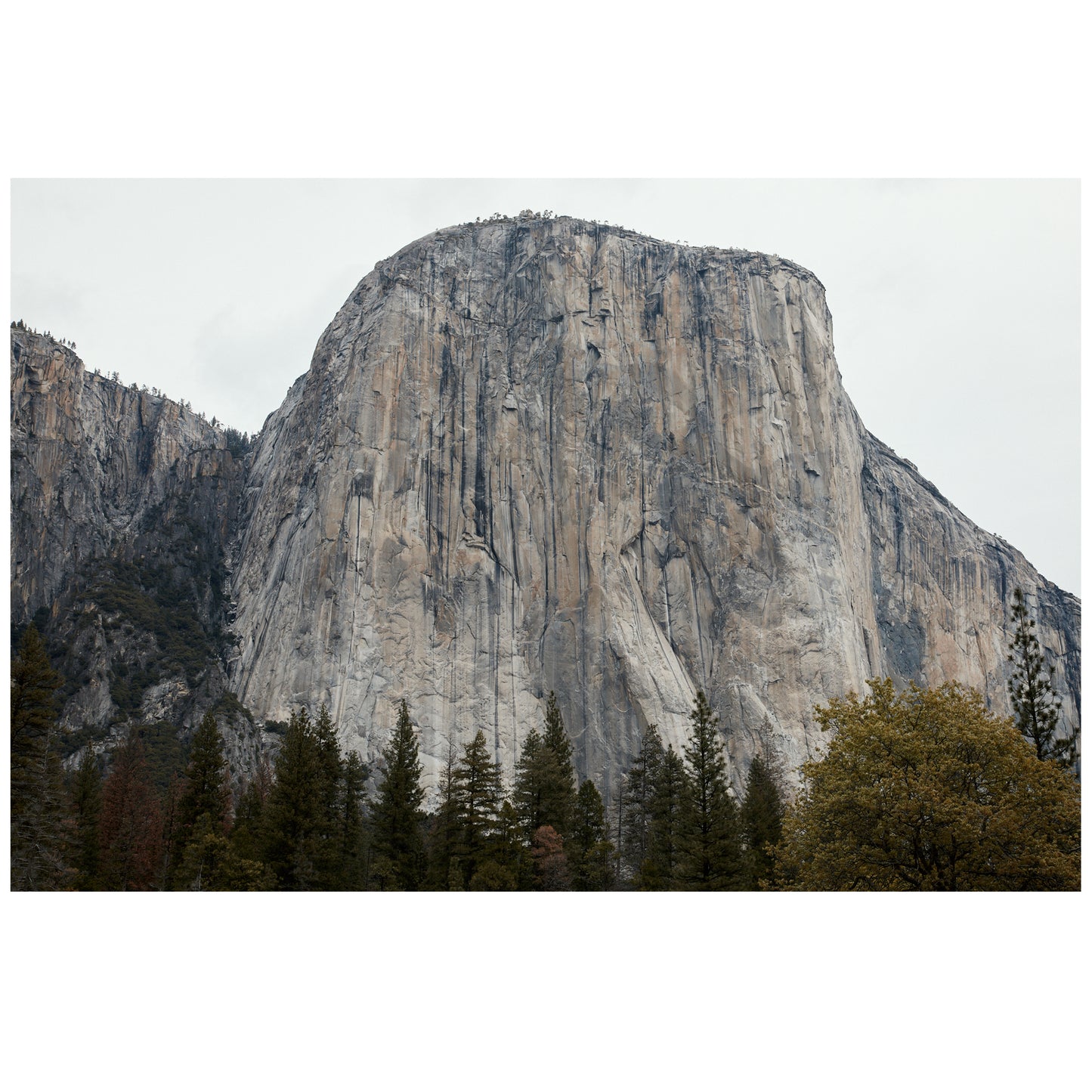 Yosemite National Park, USA